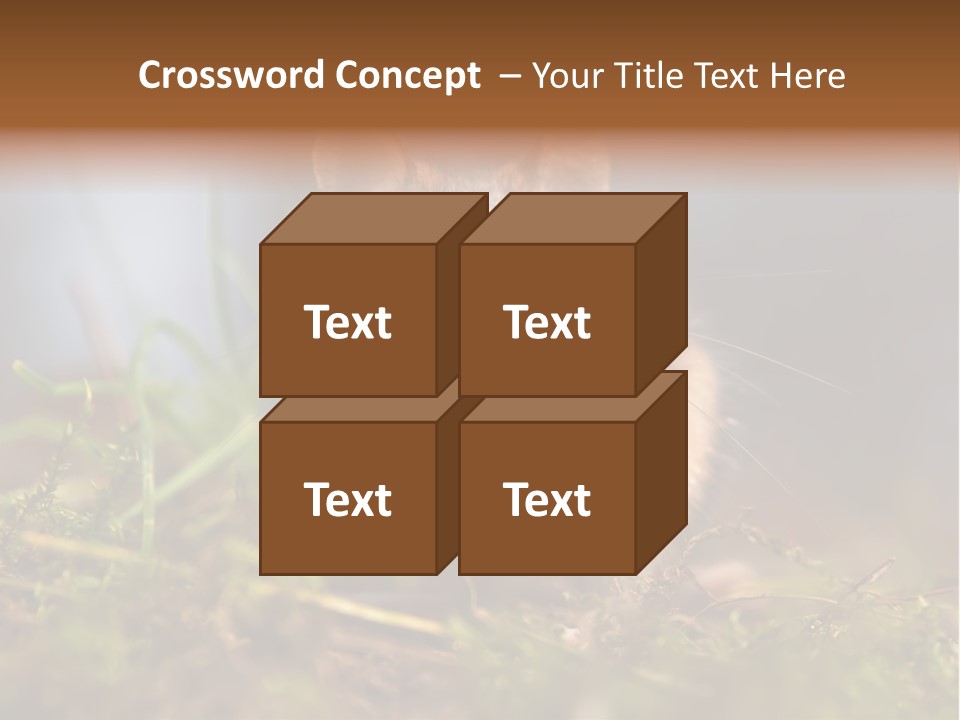 Summer Horizontal Wildlife PowerPoint Template