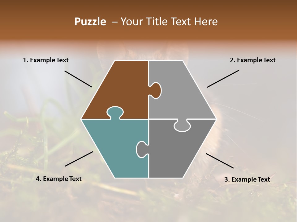 Summer Horizontal Wildlife PowerPoint Template