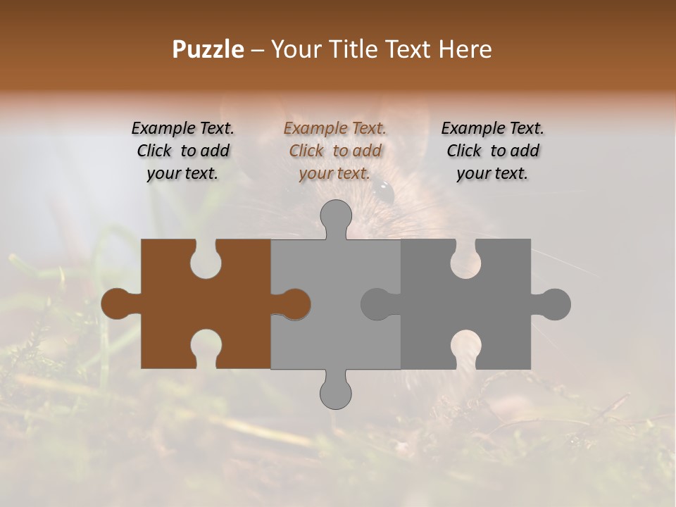 Summer Horizontal Wildlife PowerPoint Template