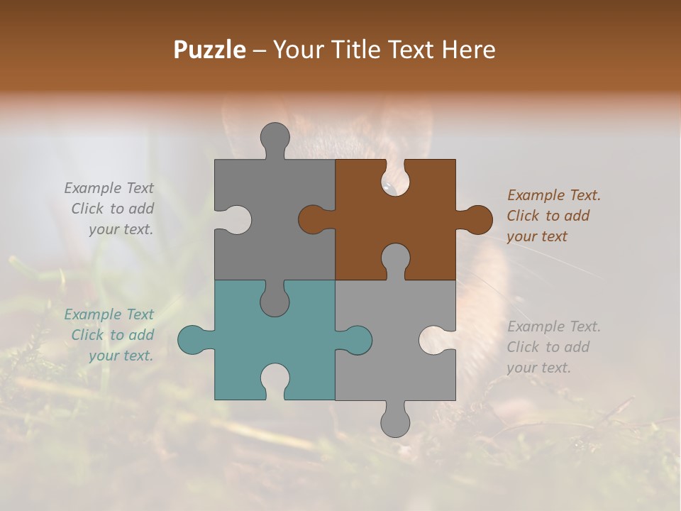 Summer Horizontal Wildlife PowerPoint Template