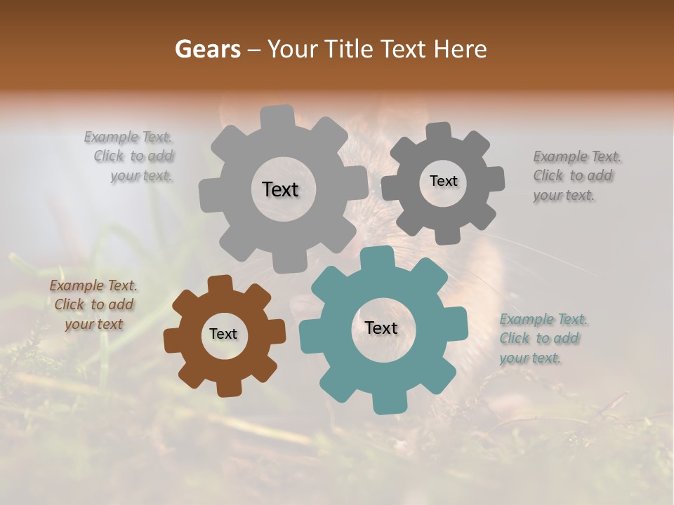 Summer Horizontal Wildlife PowerPoint Template