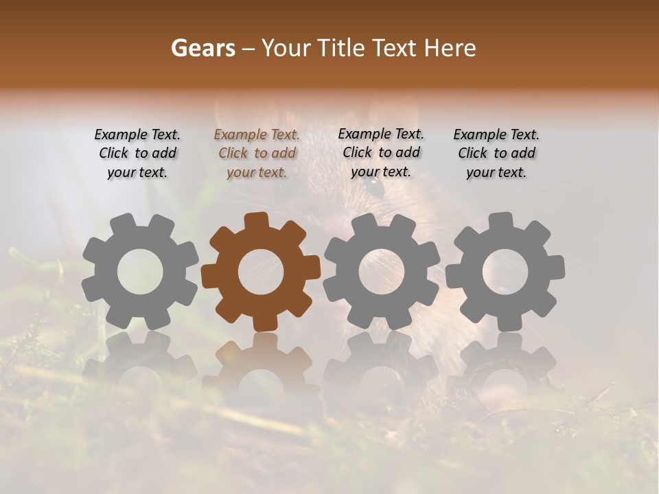 Summer Horizontal Wildlife PowerPoint Template