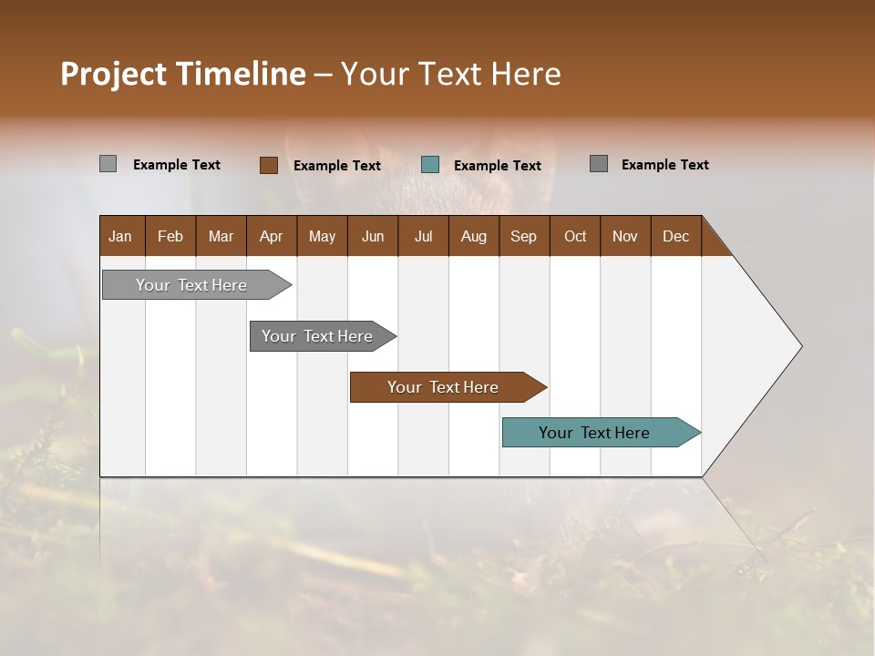 Summer Horizontal Wildlife PowerPoint Template