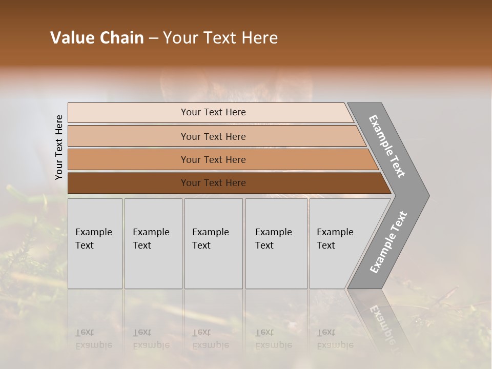 Summer Horizontal Wildlife PowerPoint Template