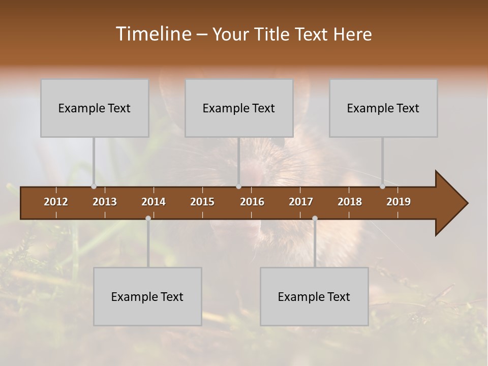 Summer Horizontal Wildlife PowerPoint Template
