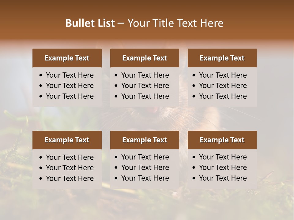 Summer Horizontal Wildlife PowerPoint Template