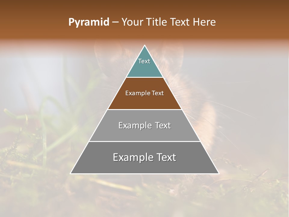 Summer Horizontal Wildlife PowerPoint Template