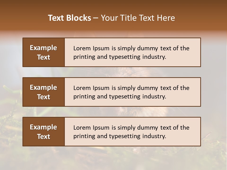 Summer Horizontal Wildlife PowerPoint Template