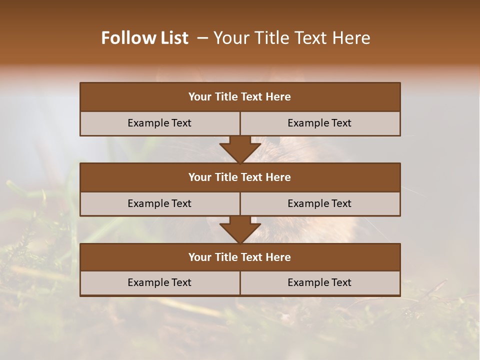 Summer Horizontal Wildlife PowerPoint Template