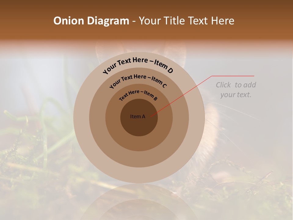 Summer Horizontal Wildlife PowerPoint Template