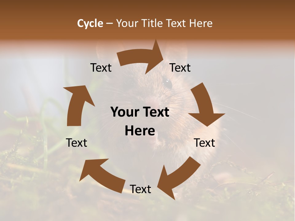 Summer Horizontal Wildlife PowerPoint Template