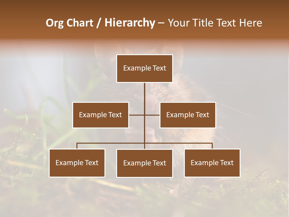 Summer Horizontal Wildlife PowerPoint Template