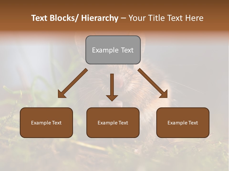 Summer Horizontal Wildlife PowerPoint Template