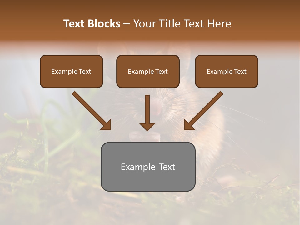 Summer Horizontal Wildlife PowerPoint Template