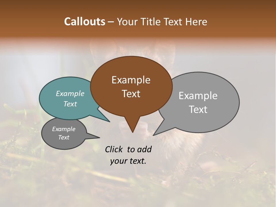 Summer Horizontal Wildlife PowerPoint Template