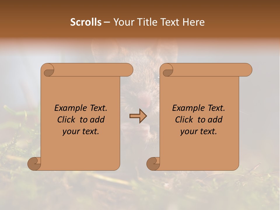 Summer Horizontal Wildlife PowerPoint Template