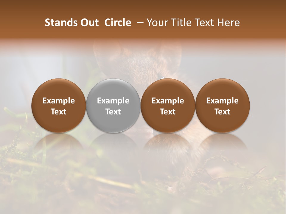 Summer Horizontal Wildlife PowerPoint Template