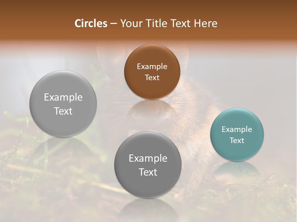 Summer Horizontal Wildlife PowerPoint Template