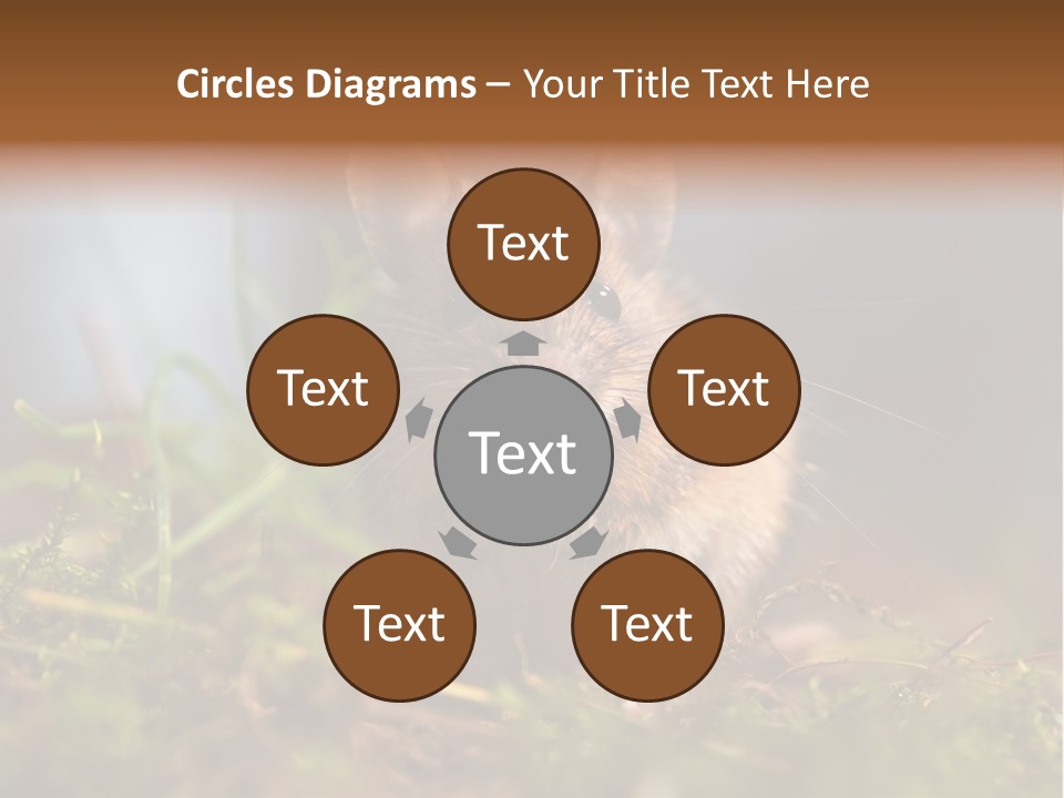 Summer Horizontal Wildlife PowerPoint Template