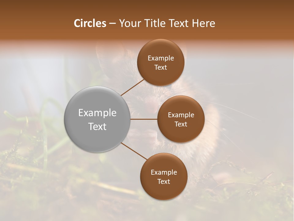 Summer Horizontal Wildlife PowerPoint Template