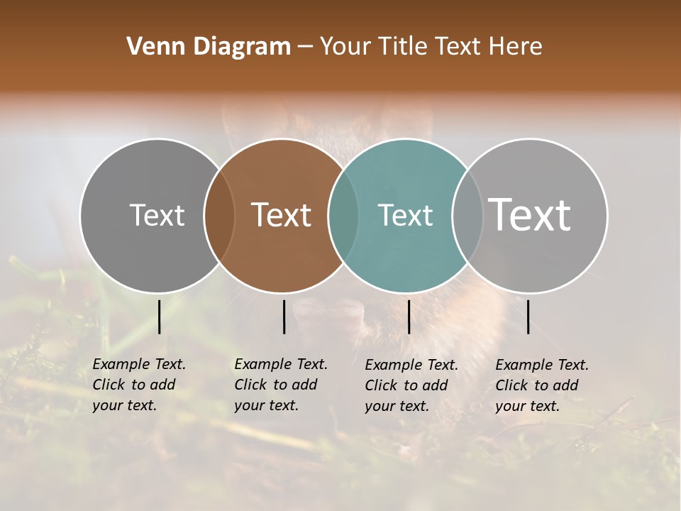 Summer Horizontal Wildlife PowerPoint Template