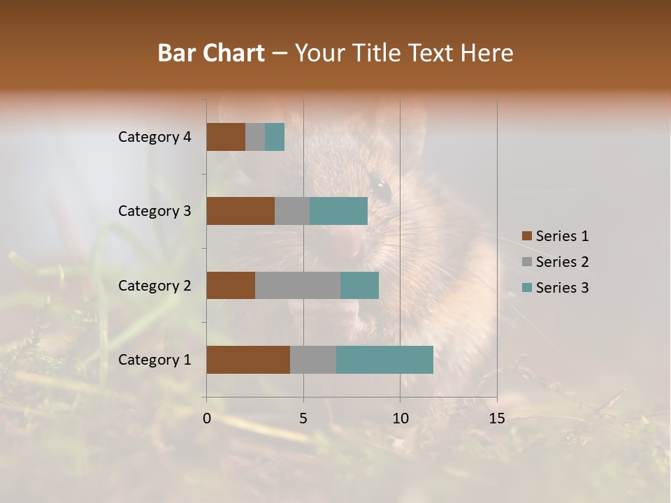 Summer Horizontal Wildlife PowerPoint Template