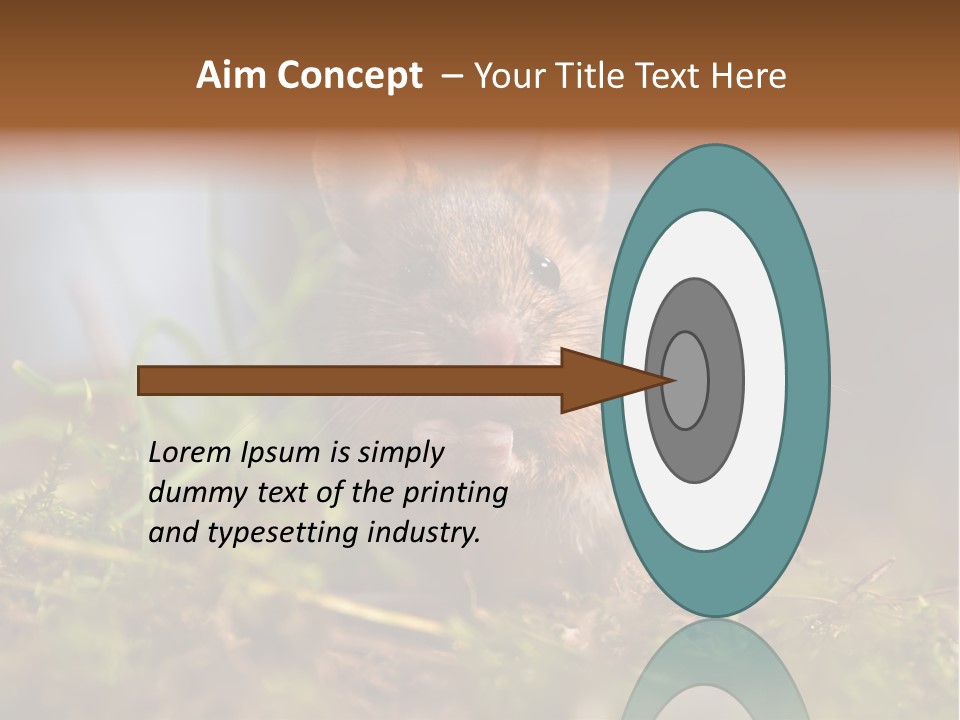 Summer Horizontal Wildlife PowerPoint Template