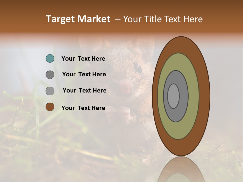 Summer Horizontal Wildlife PowerPoint Template