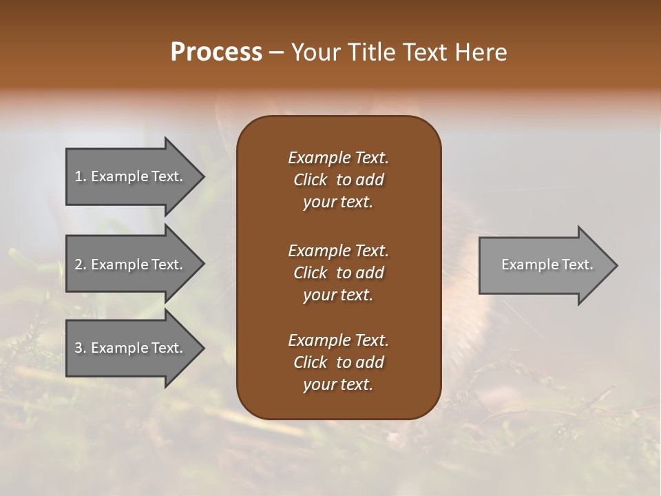 Summer Horizontal Wildlife PowerPoint Template
