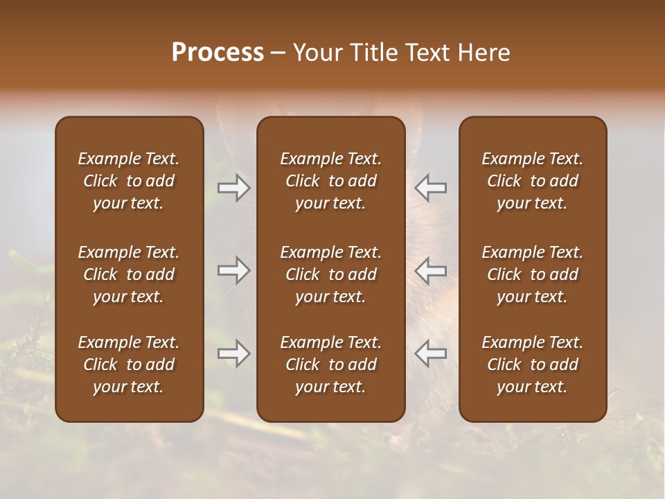 Summer Horizontal Wildlife PowerPoint Template