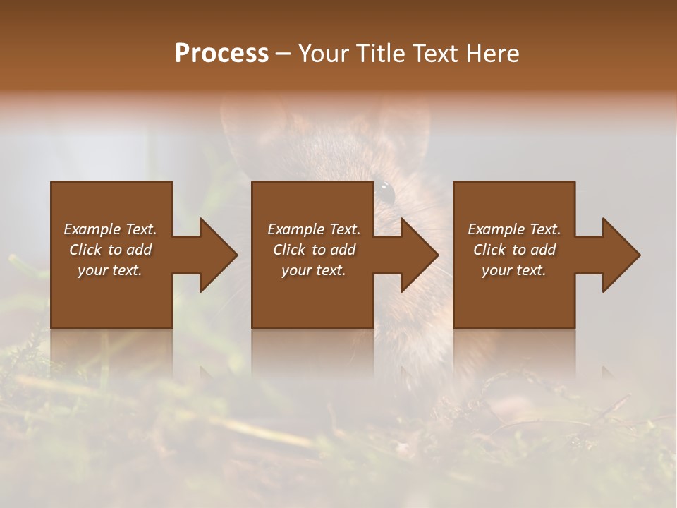 Summer Horizontal Wildlife PowerPoint Template
