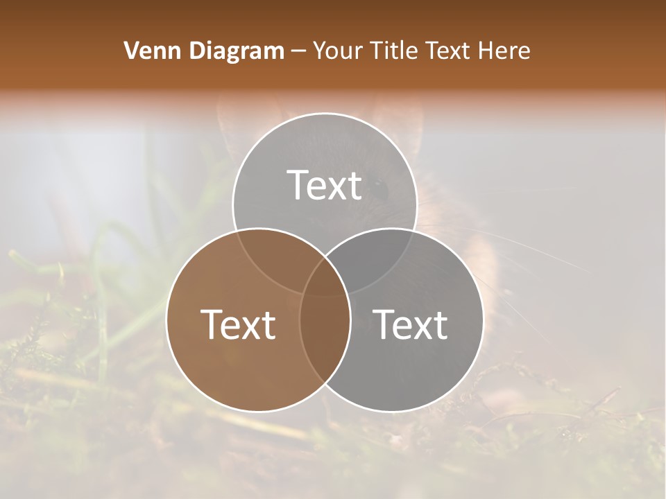 Summer Horizontal Wildlife PowerPoint Template