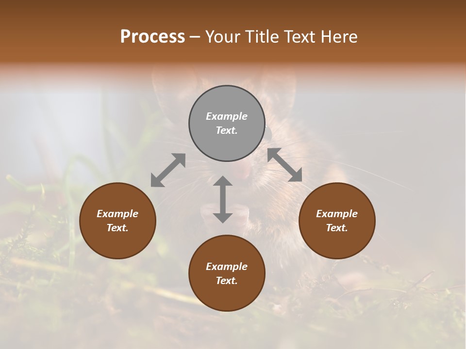 Summer Horizontal Wildlife PowerPoint Template