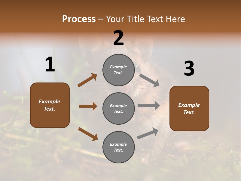 Summer Horizontal Wildlife PowerPoint Template