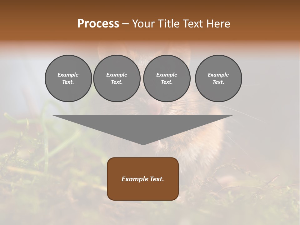 Summer Horizontal Wildlife PowerPoint Template