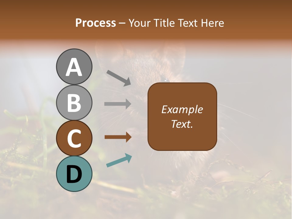 Summer Horizontal Wildlife PowerPoint Template