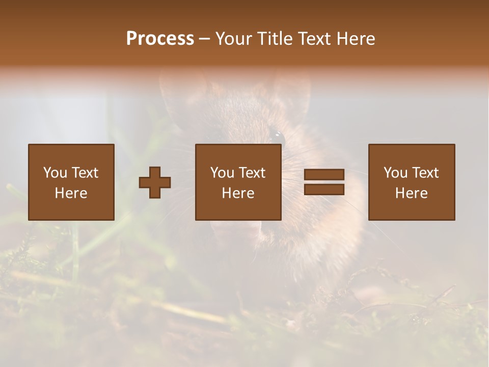 Summer Horizontal Wildlife PowerPoint Template