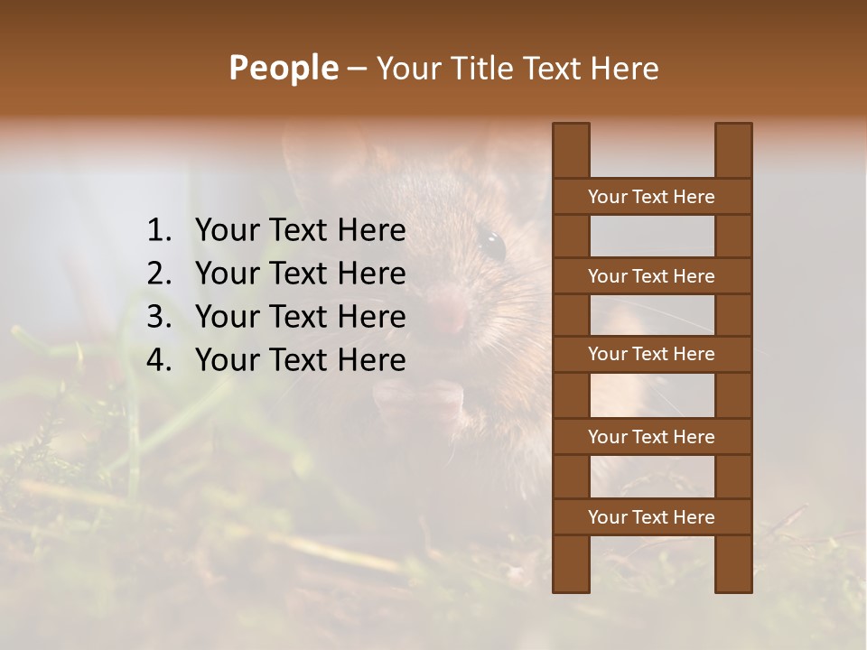 Summer Horizontal Wildlife PowerPoint Template