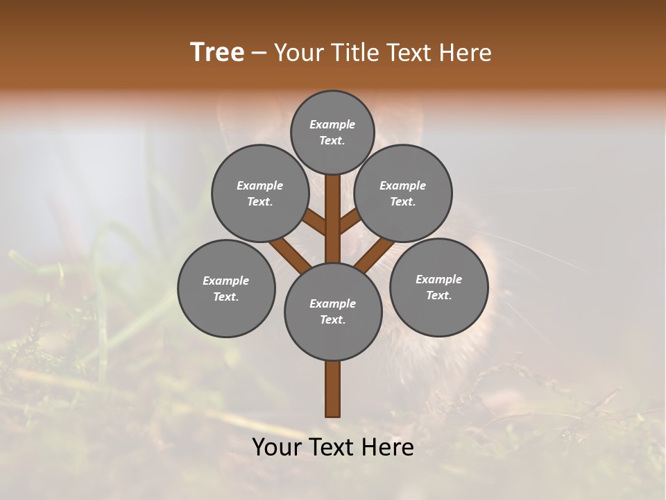 Summer Horizontal Wildlife PowerPoint Template