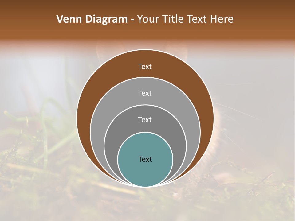 Summer Horizontal Wildlife PowerPoint Template