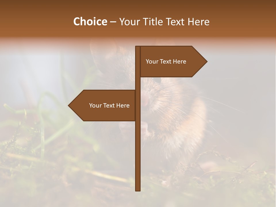 Summer Horizontal Wildlife PowerPoint Template