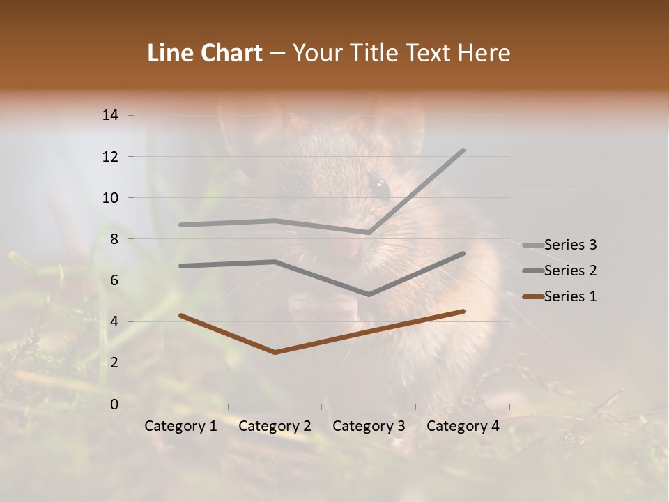 Summer Horizontal Wildlife PowerPoint Template
