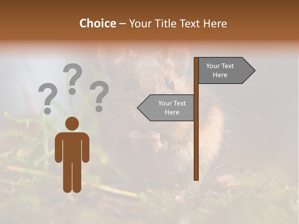 Summer Horizontal Wildlife PowerPoint Template