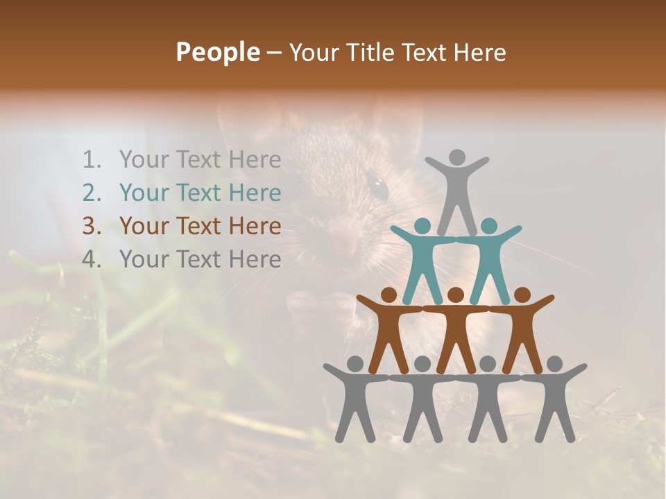 Summer Horizontal Wildlife PowerPoint Template