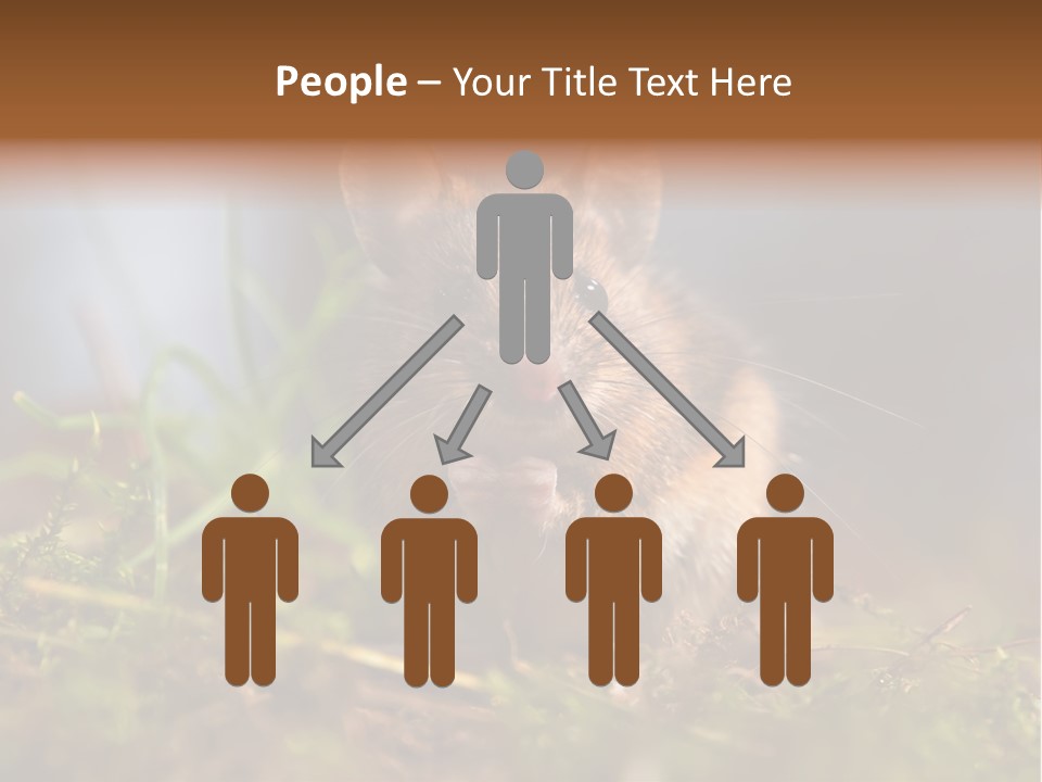 Summer Horizontal Wildlife PowerPoint Template