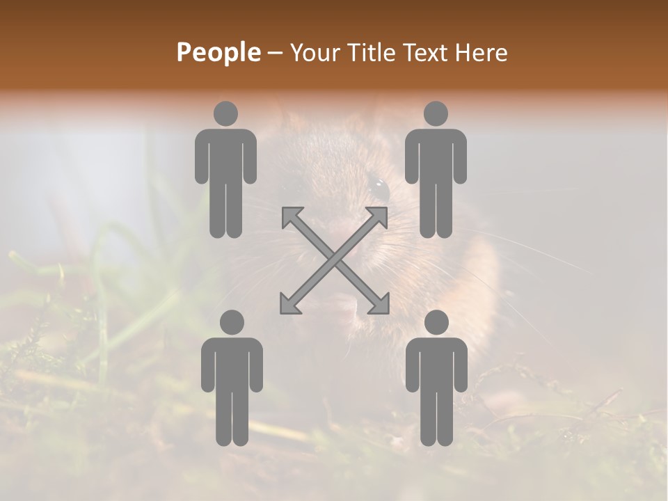 Summer Horizontal Wildlife PowerPoint Template