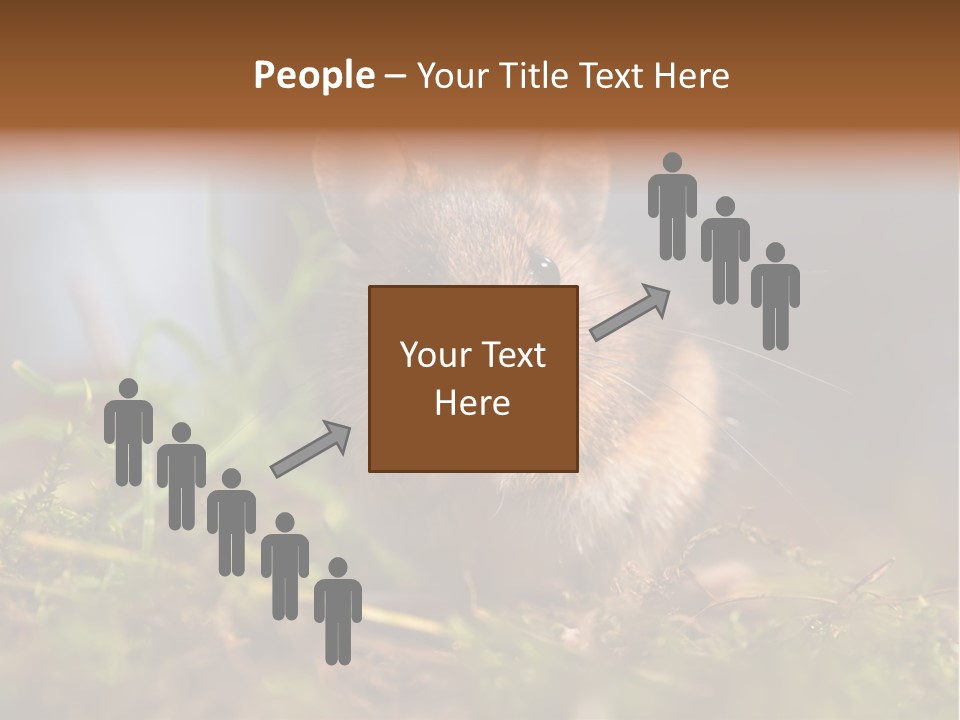 Summer Horizontal Wildlife PowerPoint Template