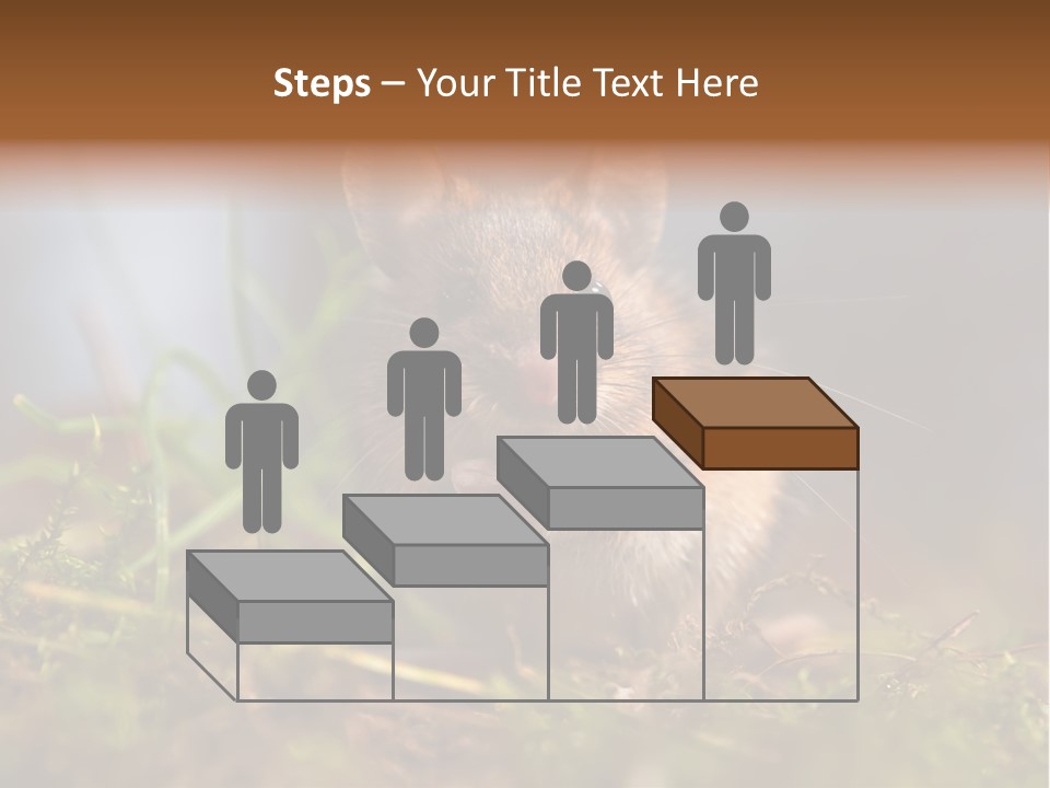 Summer Horizontal Wildlife PowerPoint Template