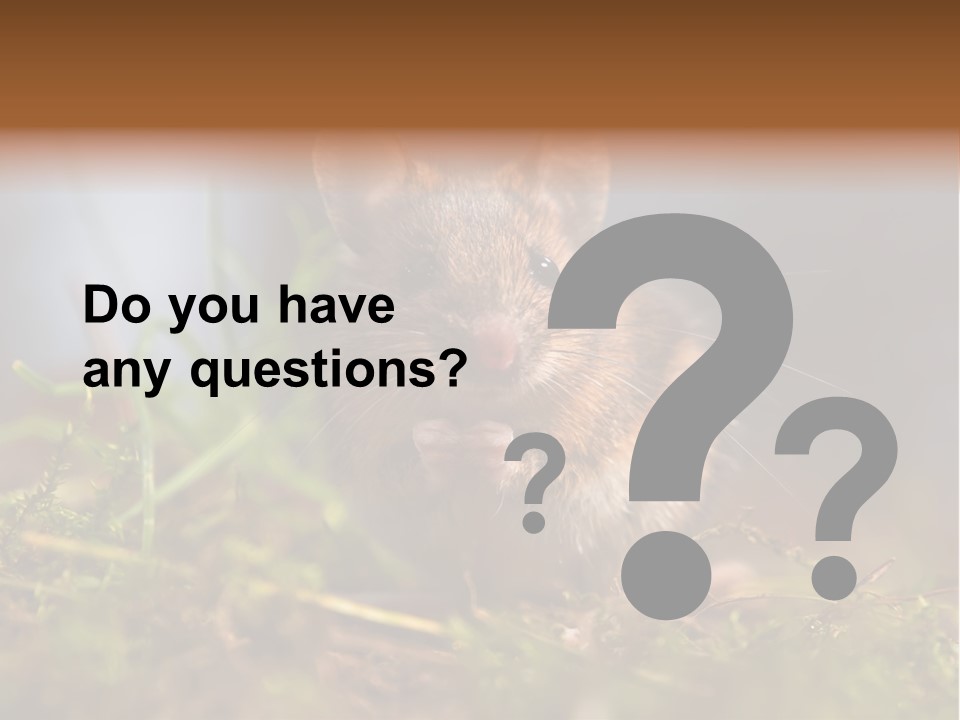 Summer Horizontal Wildlife PowerPoint Template