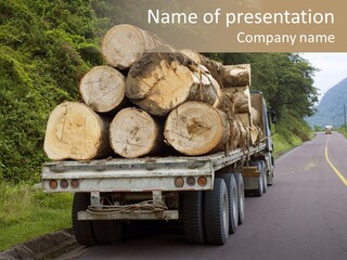 Wood Hard Environment PowerPoint Template